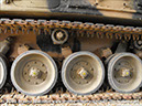 leopard_arv_32932_bandiana22