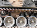 leopard_arv_32932_bandiana23