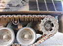 leopard_arv_32932_bandiana24
