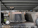 leopard_arv_32932_bandiana30