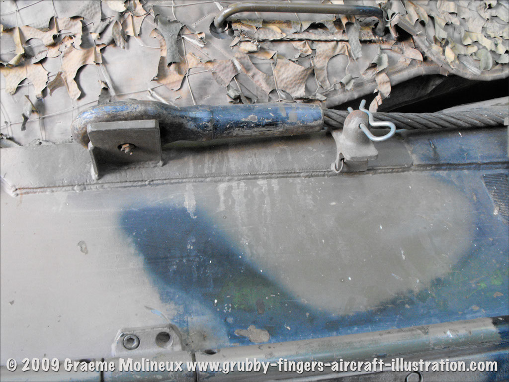 leopard_mbt_27761_puckapunyal_23