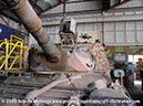 leopard_mbt_27761_puckapunyal_17