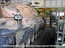 leopard_mbt_27761_puckapunyal_19