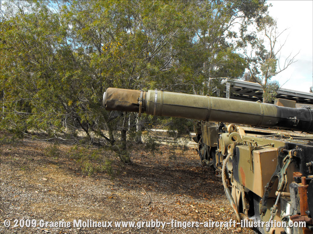 leopard_mbt_27766_puckapunyal_25