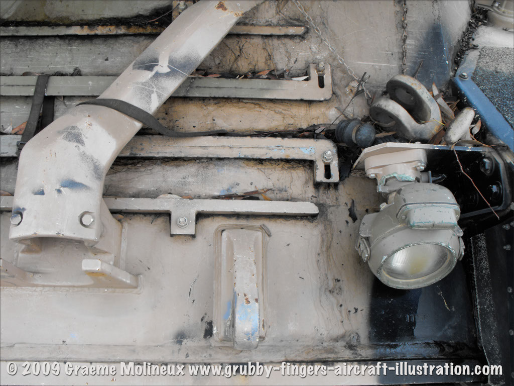 leopard_mbt_27766_puckapunyal_30