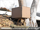 leopard_mbt_27766_puckapunyal_16