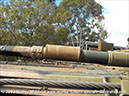 leopard_mbt_27766_puckapunyal_23