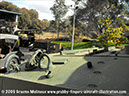 sherman_puckapunyal_09