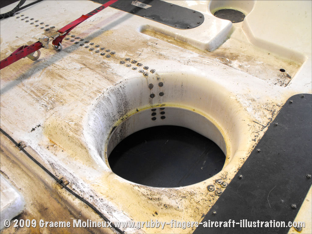 simplex_belly_tank_12