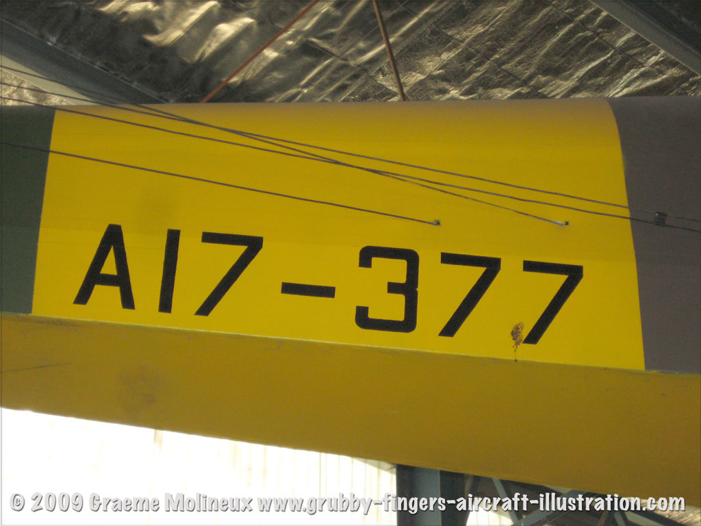 tigermoth_a17-337_02
