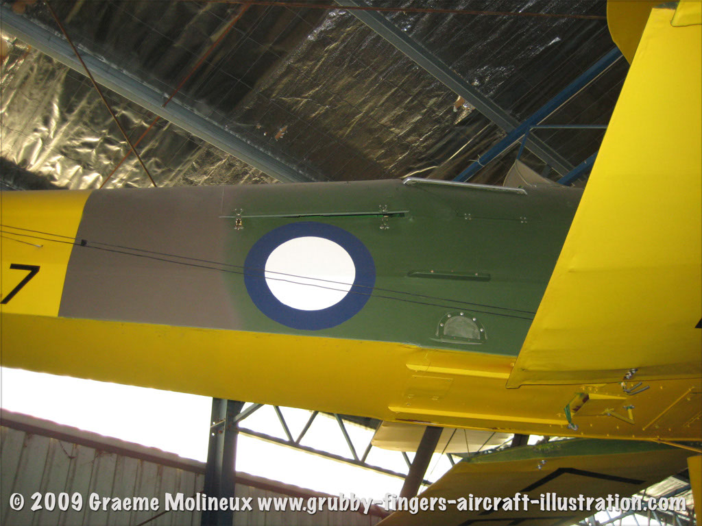 tigermoth_a17-337_03