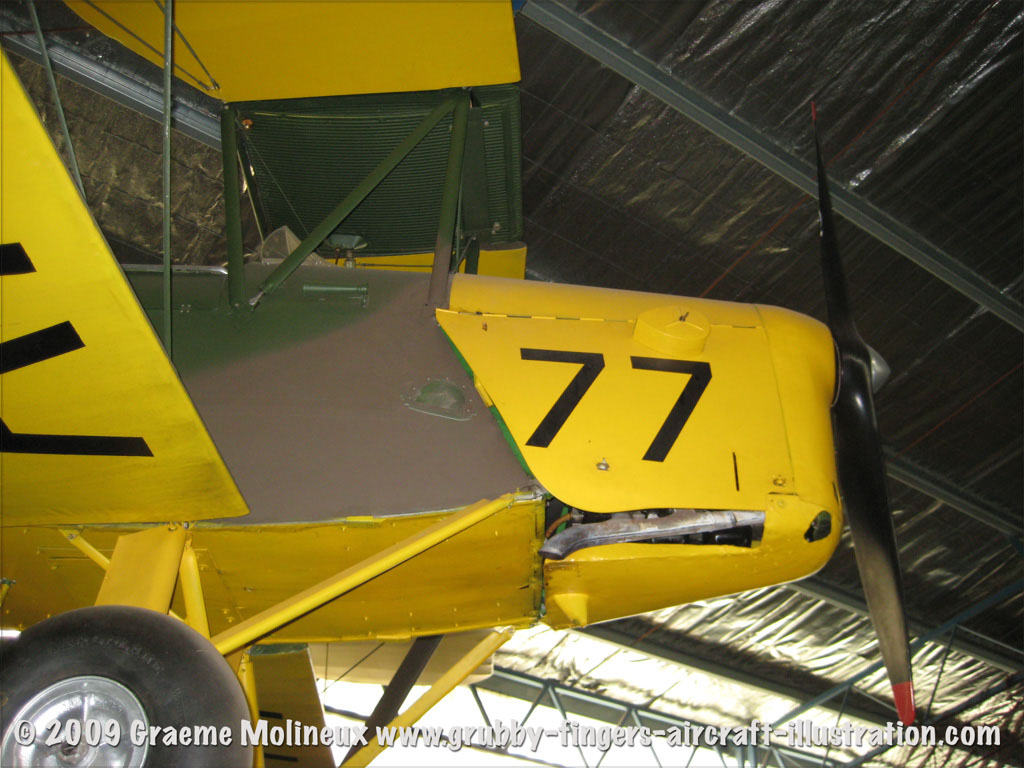 tigermoth_a17-337_04