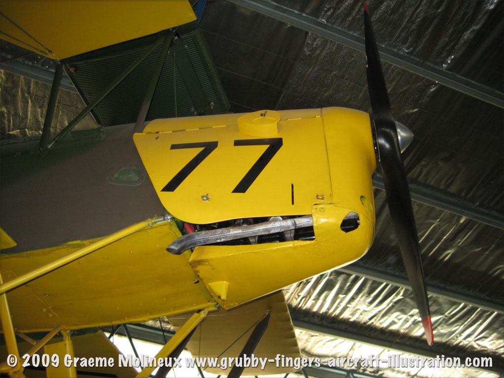 tigermoth_a17-337_06