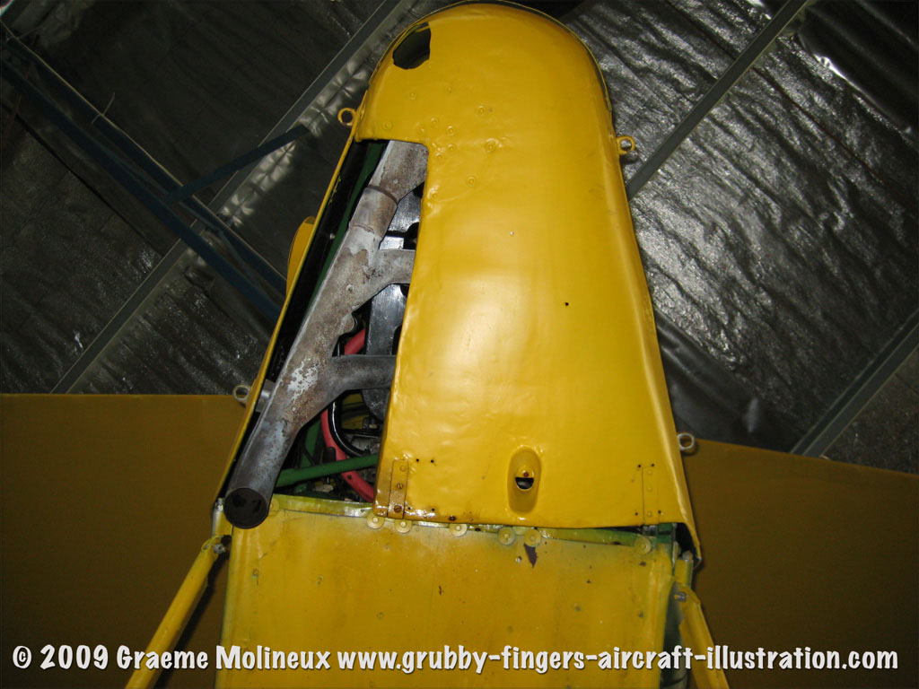 tigermoth_a17-337_12
