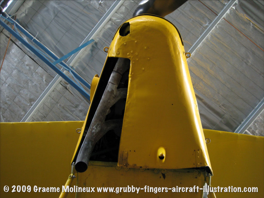 tigermoth_a17-337_13
