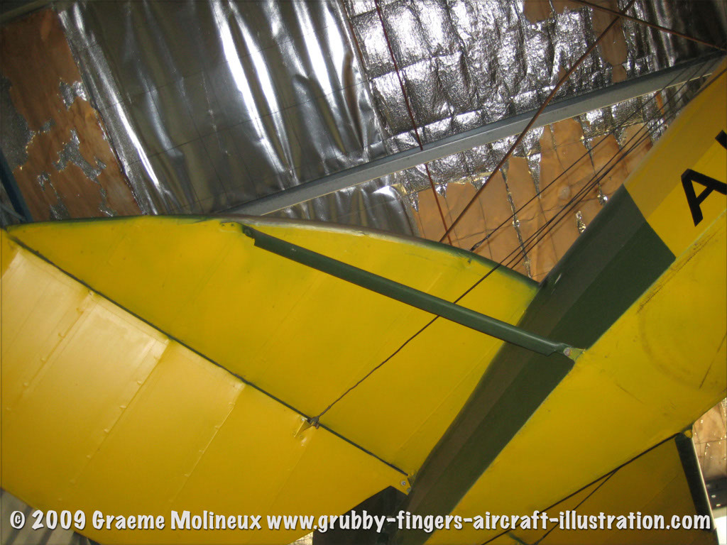 tigermoth_a17-337_18