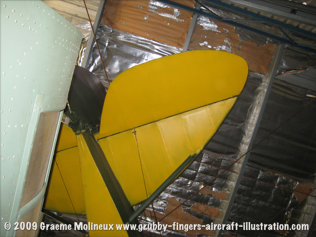 tigermoth_a17-337_19