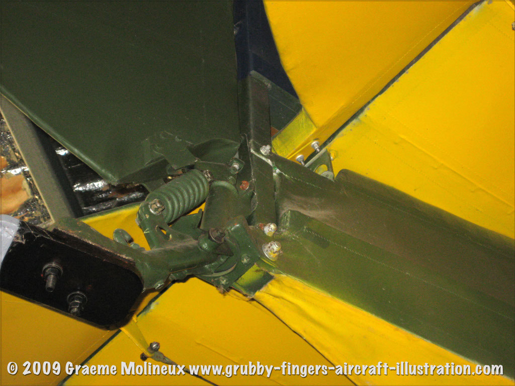 tigermoth_a17-337_20