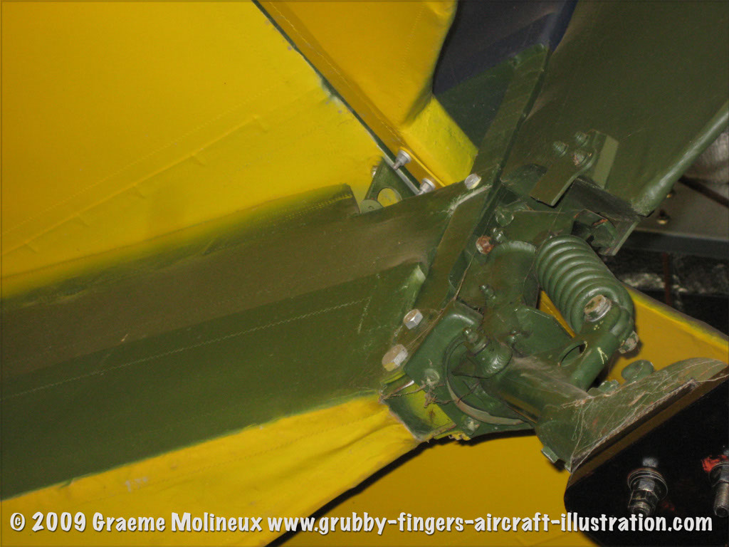 tigermoth_a17-337_21