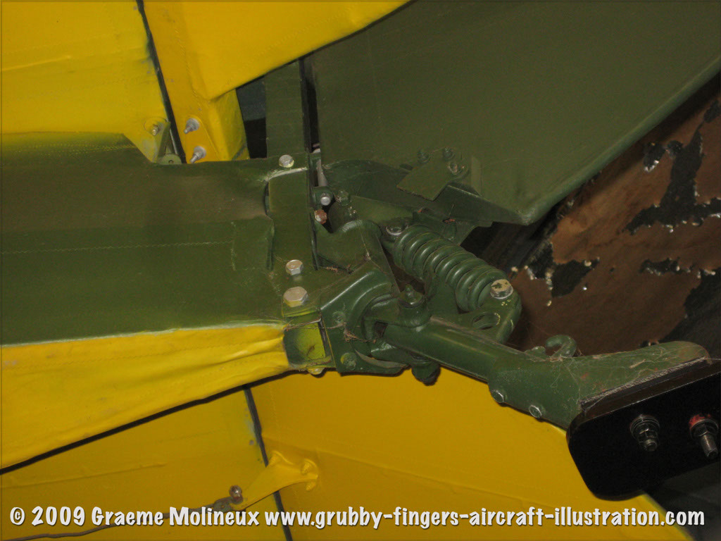 tigermoth_a17-337_22