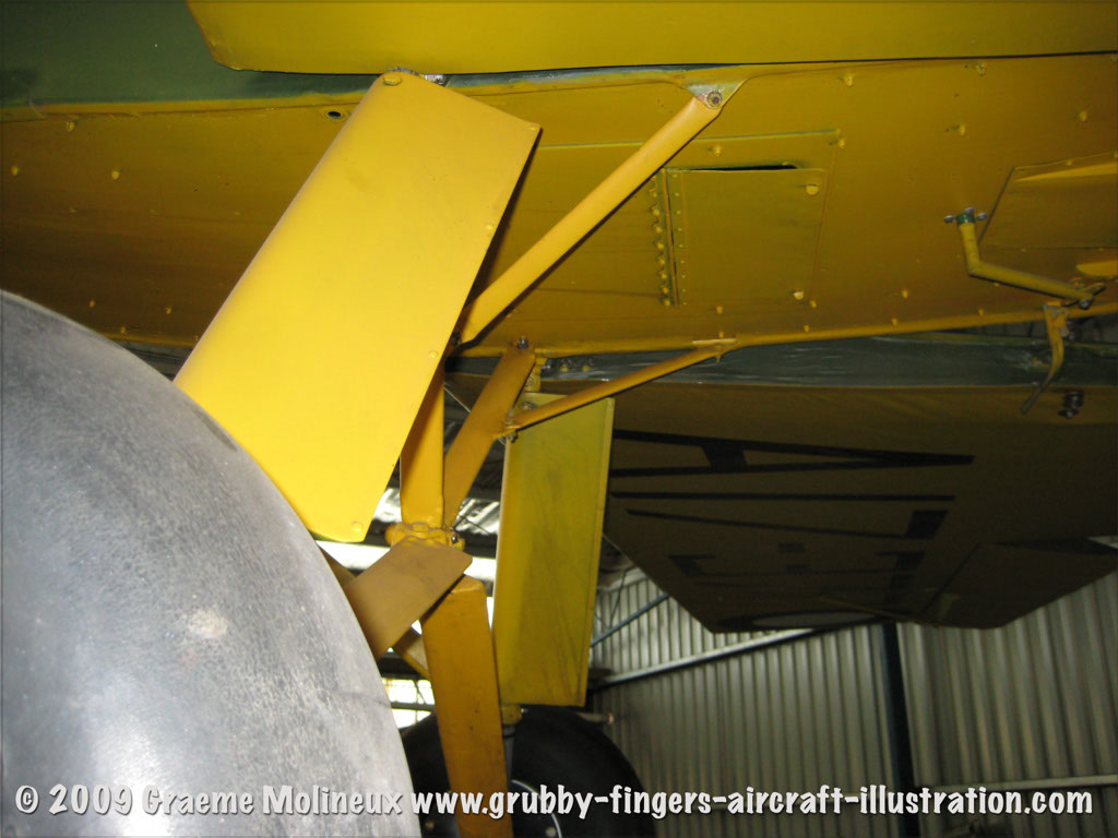 tigermoth_a17-337_34