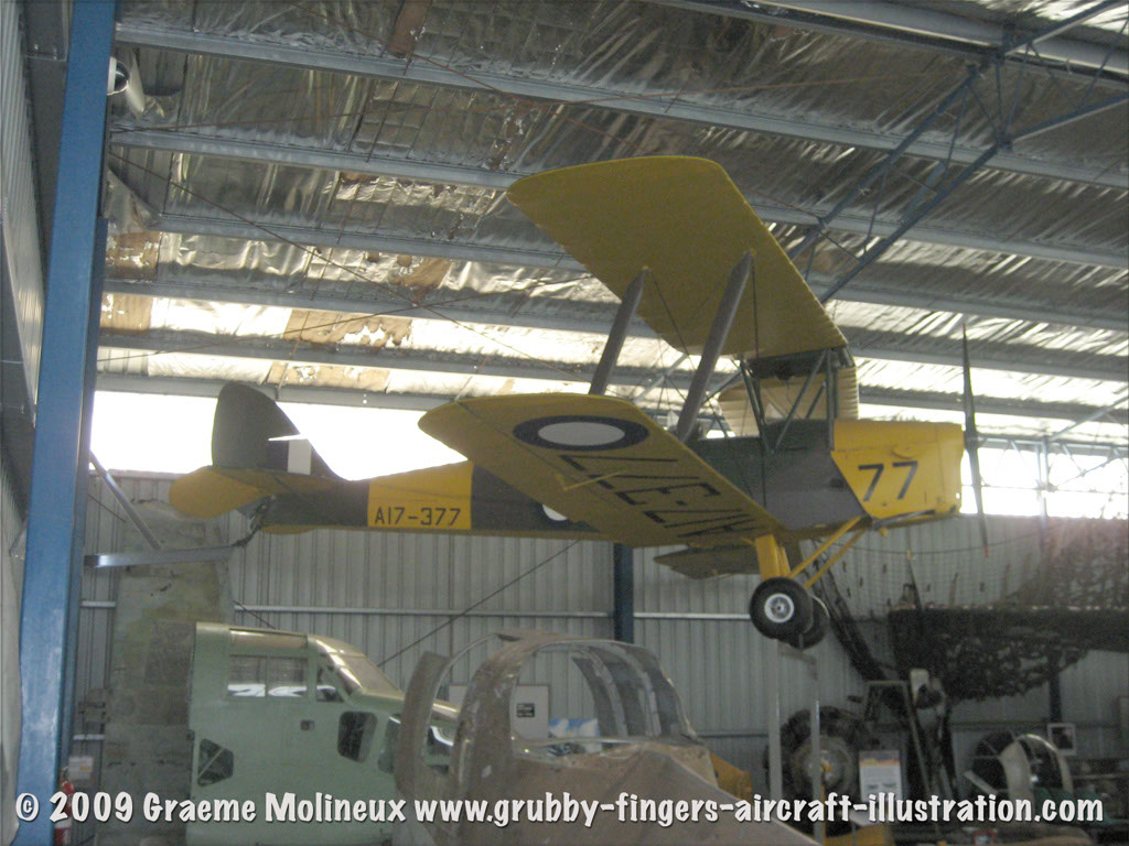 tigermoth_a17-337_37