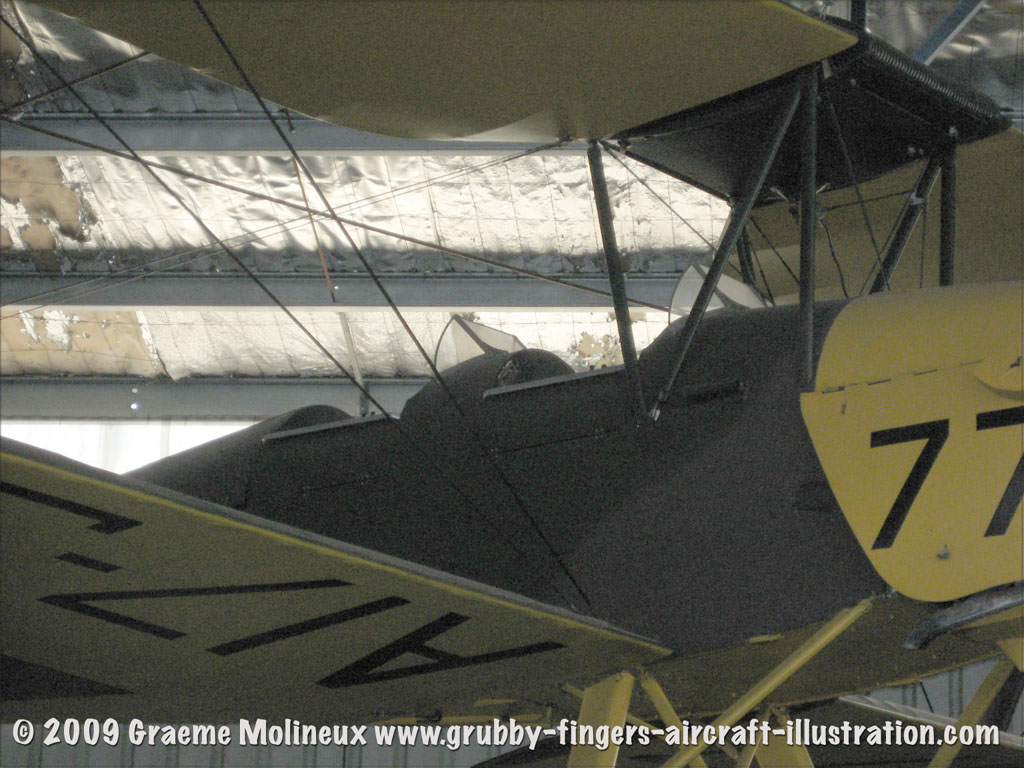tigermoth_a17-337_38