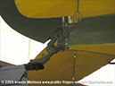 tigermoth_a17-337_01