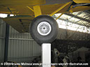 tigermoth_a17-337_05