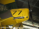 tigermoth_a17-337_06