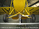 tigermoth_a17-337_08