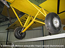 tigermoth_a17-337_11