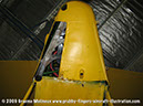 tigermoth_a17-337_12