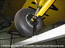 tigermoth_a17-337_14