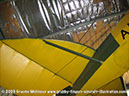 tigermoth_a17-337_18