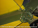 tigermoth_a17-337_21