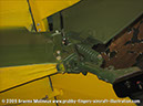 tigermoth_a17-337_22