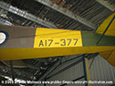 tigermoth_a17-337_24
