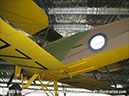 tigermoth_a17-337_25