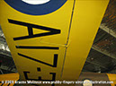 tigermoth_a17-337_29