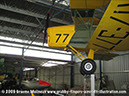 tigermoth_a17-337_32