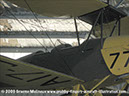 tigermoth_a17-337_38