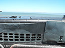 uss_pampanito_submarine_walkaround_2010_24